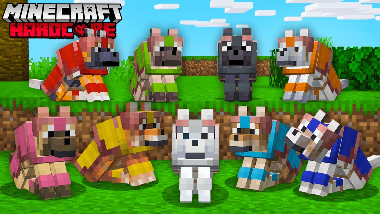 J'ai capturé TOUS les NOUVEAUX LOUPS sur Minecraft Hardcore