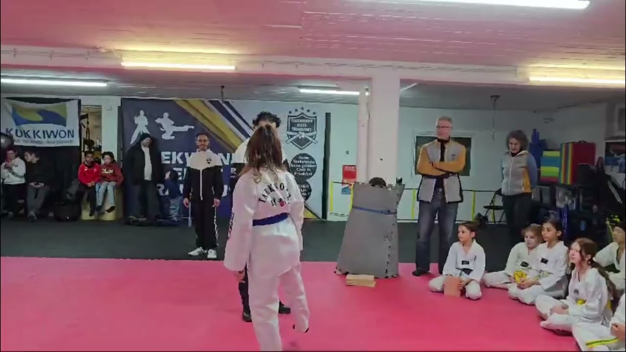 Taekwondo Training - Taekwondo Elite Frankfurt