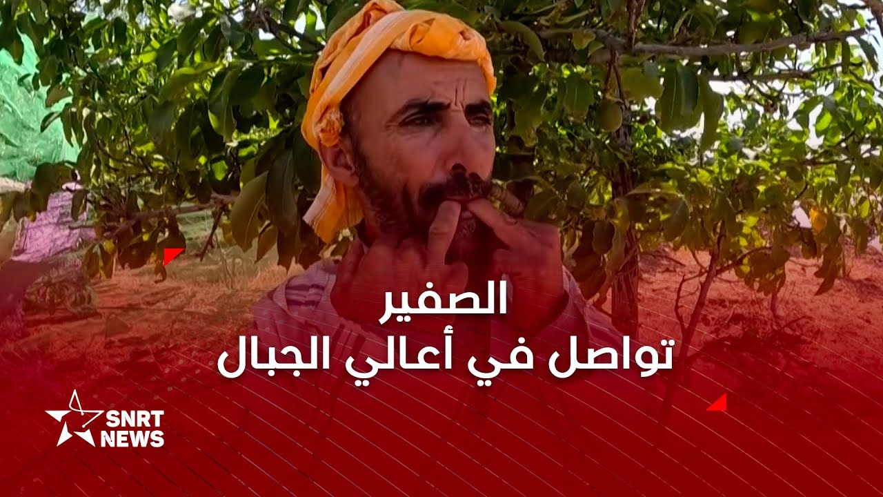 الصفير… ذاكرة صوتية ولغة تواصل في جبال الأطلس الكبير