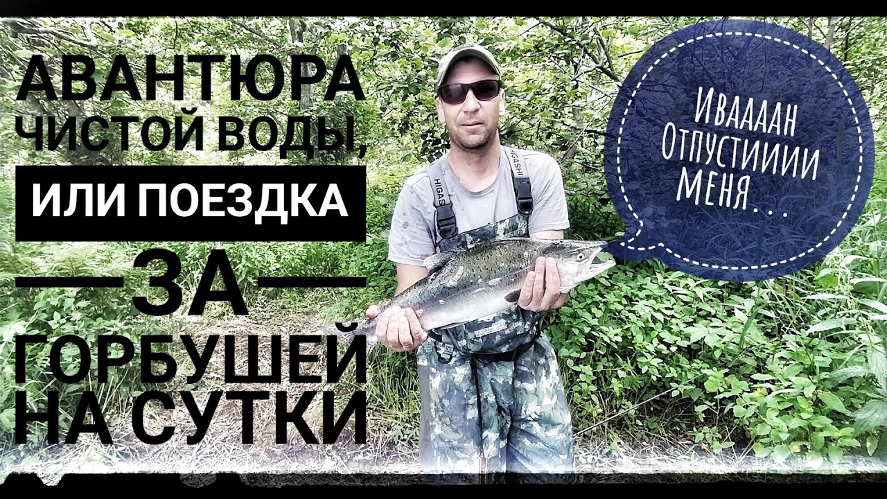 Ловля Горбуши в Приморском Крае.Поклевка на каждом забросе💪😎#приморье#fishing#лосось#спиннинг#рыба