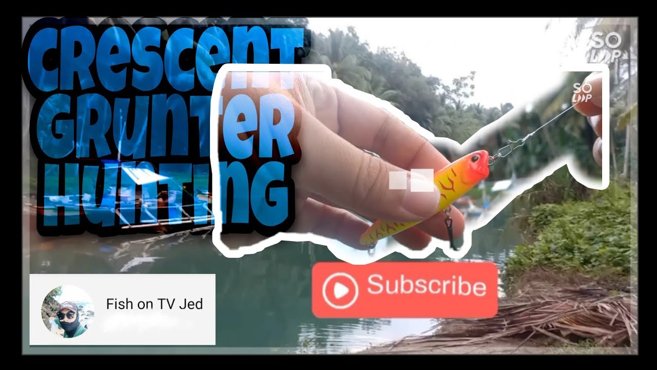Ultra light fishing - Crescent Grunter hunting using pencil lure.