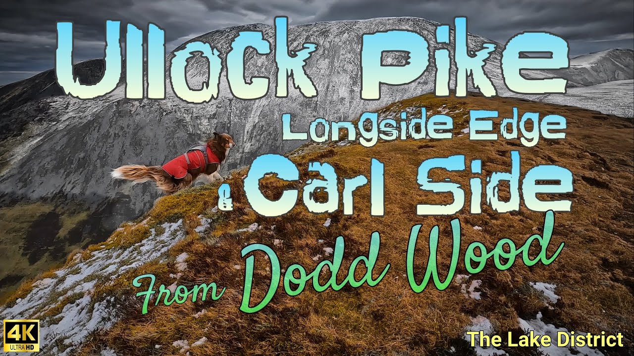 ULLOCK PIKE LONGSIDE EDGE & CARL SIDE from The Rabbit Warren Dodd Wood (The Lake District)