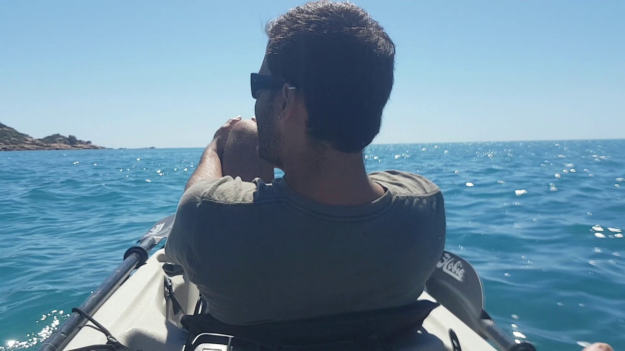 Vaquita 1080p