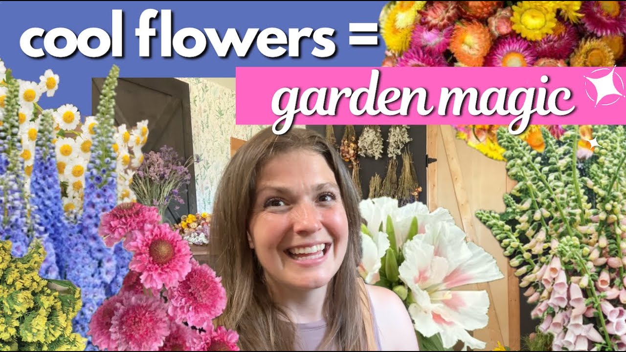 Don't miss THIS planting window! | Early blooms with cool hardy annuals