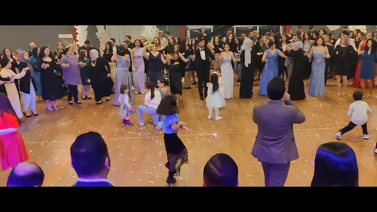 Hozan Şerwan Avusturya veyena 19/ 3 2020