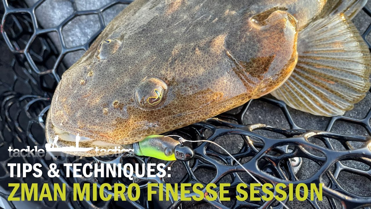 ZMan Micro Finesse BaitZ - Flats Session on the 1.75" Shad FryZ