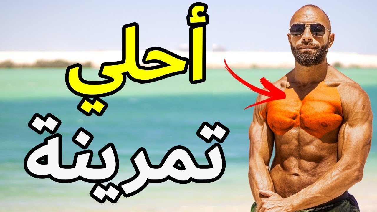تمرينة كاملة | صدر + ضهر | في أقل من ساعة | CHEST & BACK