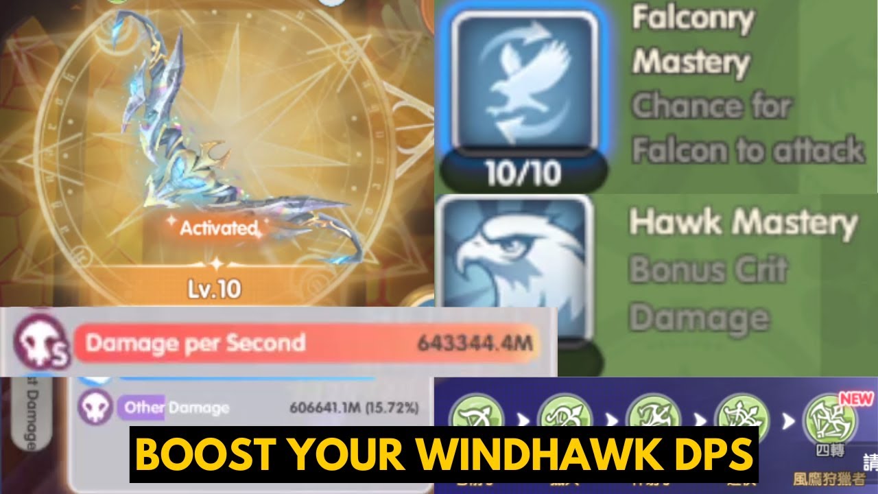 ULTIMATE GUIDE BOOST YOUR WINDHAWK DPS