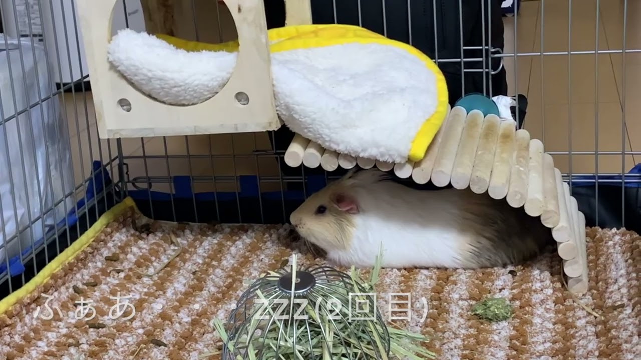 眠い