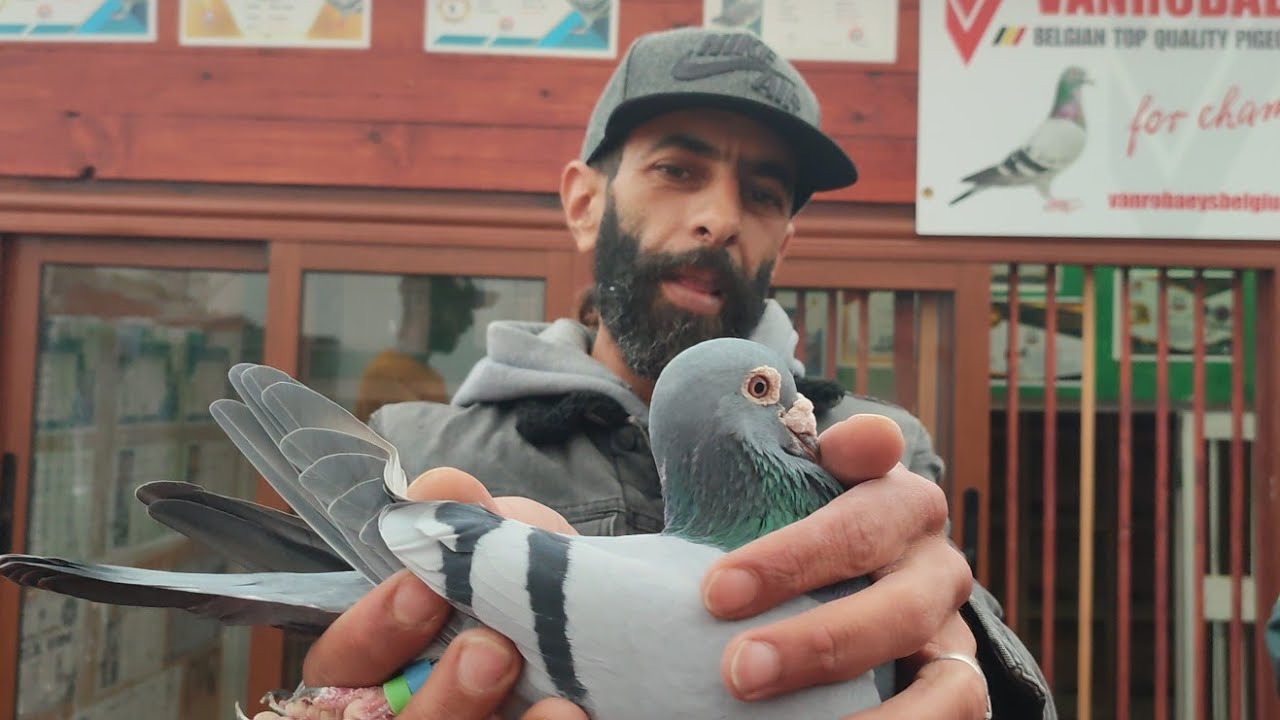 عملية الكنطرول عند الأبطال الكبار عصام 36/فضيل يوسف لمسابقة امينتانوت