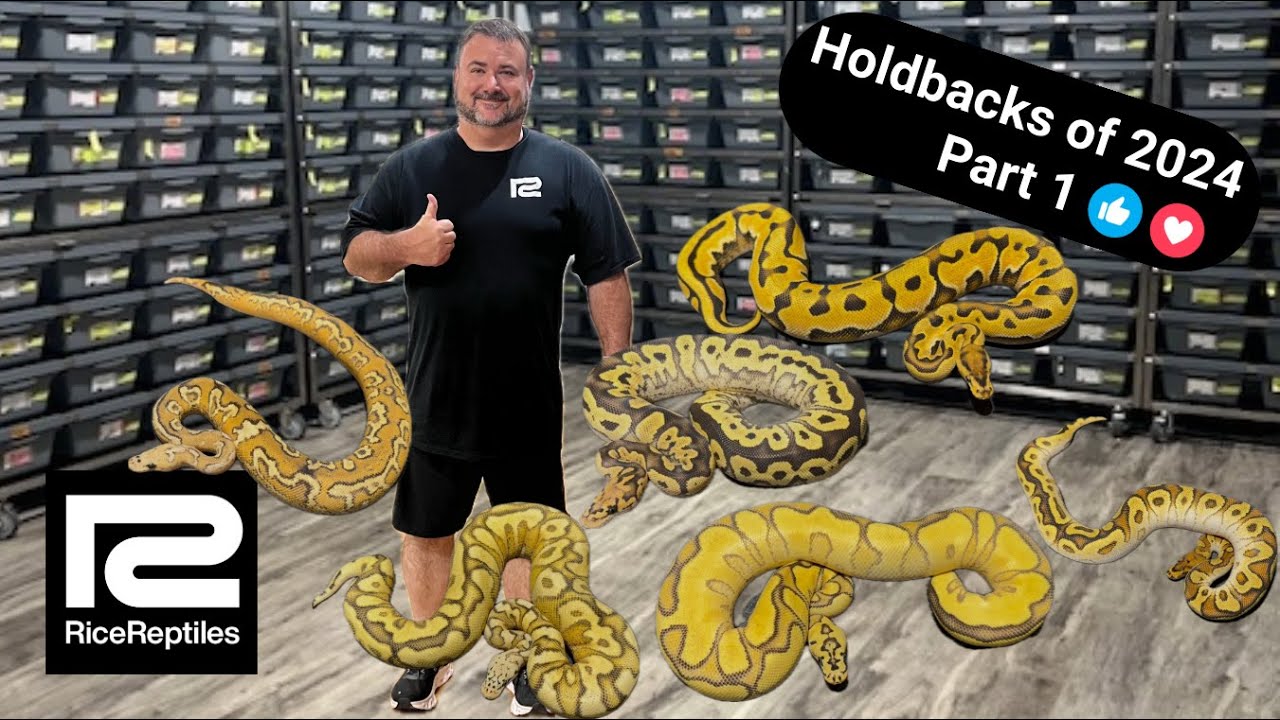 Holdbacks of 2024 - Part 1