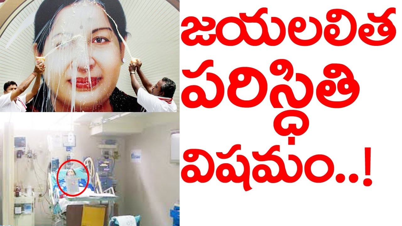Jayalalitha Health Status | TamilNadu chief minister Jayalalitha very critical Apollo Hospitals says