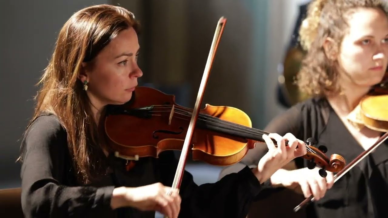 W. A. Mozart - Symphony N. 40 K 550 (I mov.)