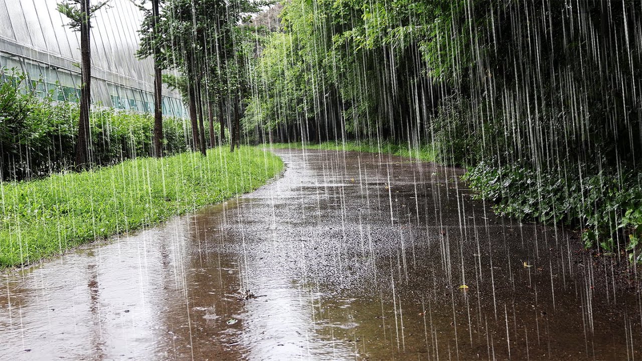 Успокаивающие звуки дождя для сна | Расслабляющий ум | Целебный белый шум ASMR