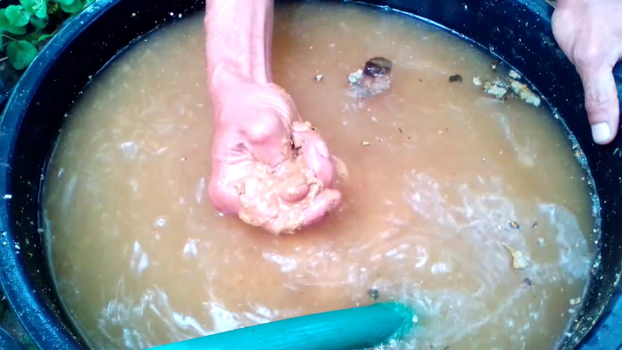 ต้นฉบับน้ำหมักจาวปลวกสูตรลุงหนวด  ตอนที่ 1  ใส่เชื้อเห็ดในน้ำหมักจาวปลวก