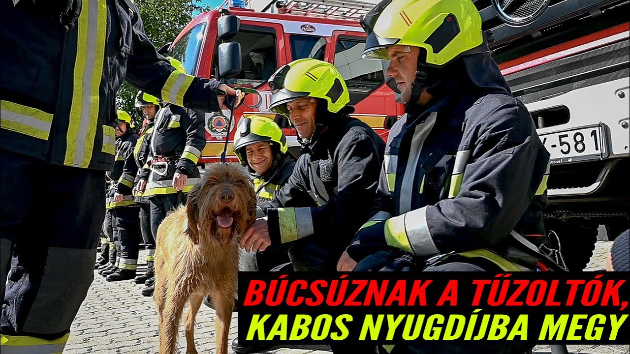 Nyugdíjba vonul a torzonborz vörös ördög