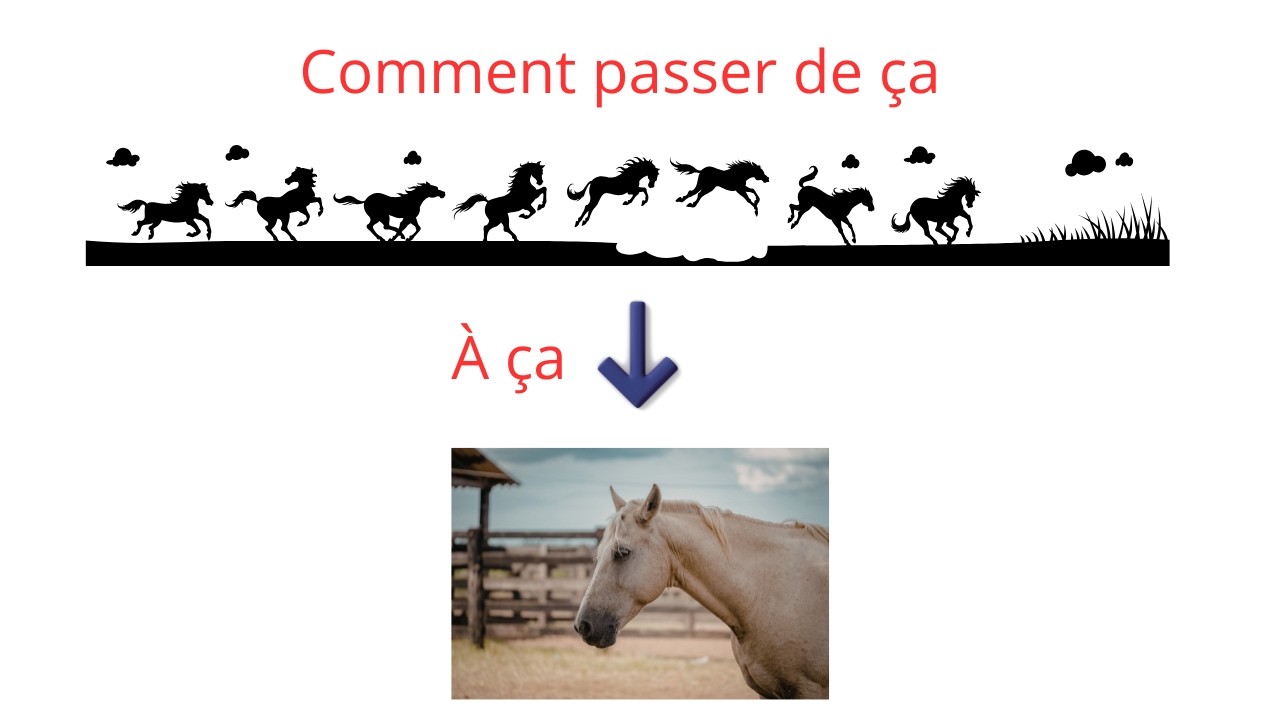 Comment revenir de randonnée calmement