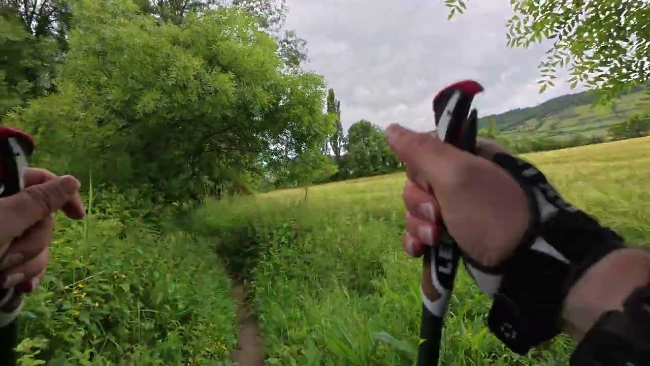 V197 - Camino Aragonés - 2025 - E7 - Izco - Tiebas