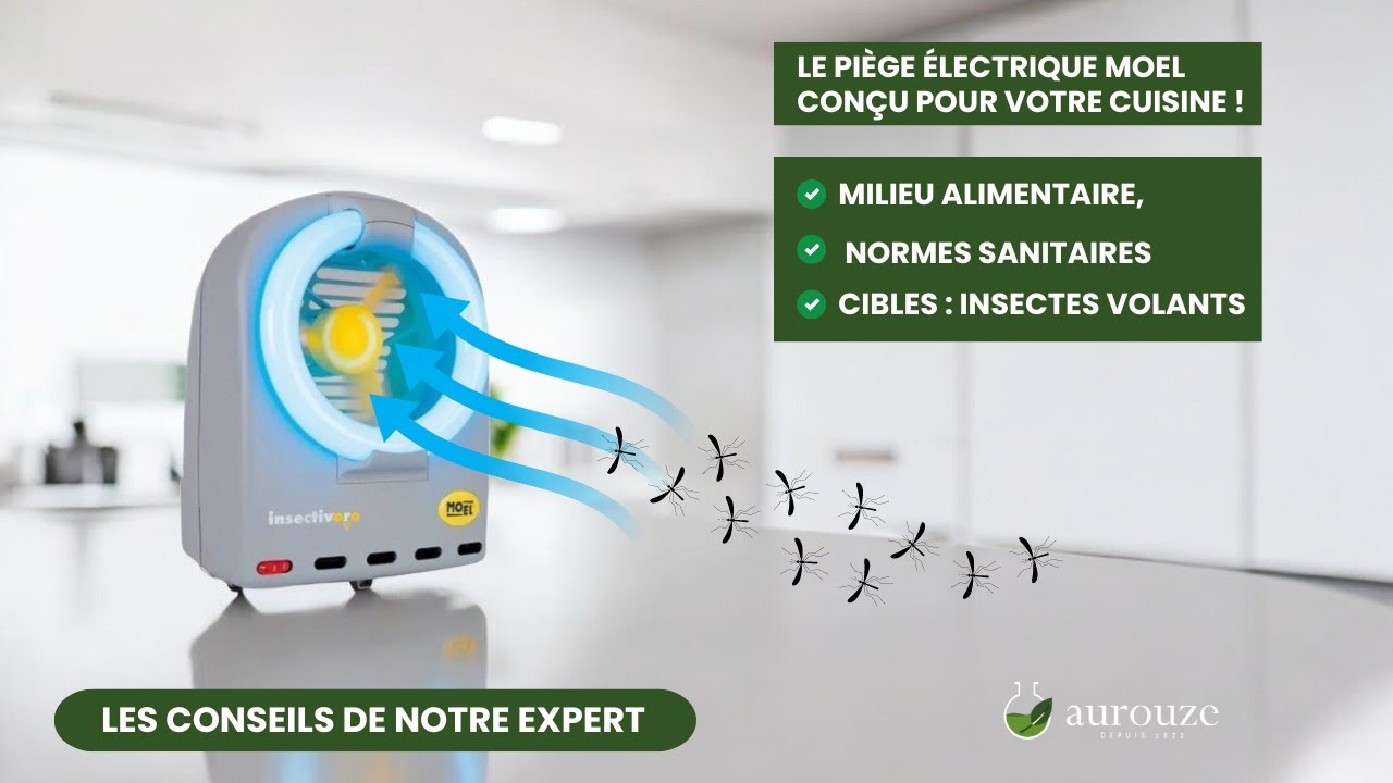 Pi&egrave;ge &eacute;lectrique MOEL - Efficacit&eacute; et s&eacute;curit&eacute; pour vos espaces alimentaires !