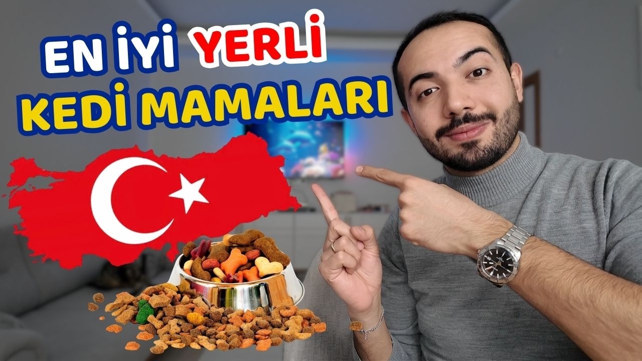 En İyi Yerli Kedi Mamaları