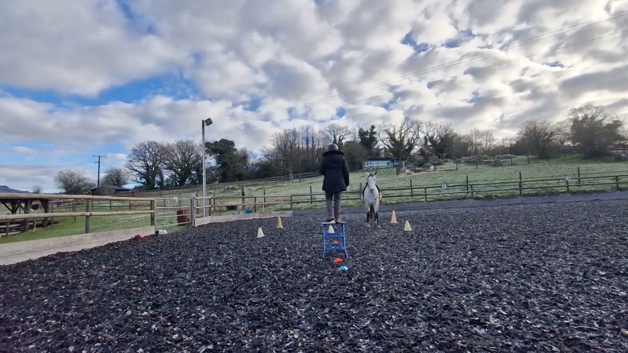 Caval go 2026 montée élite manche 1