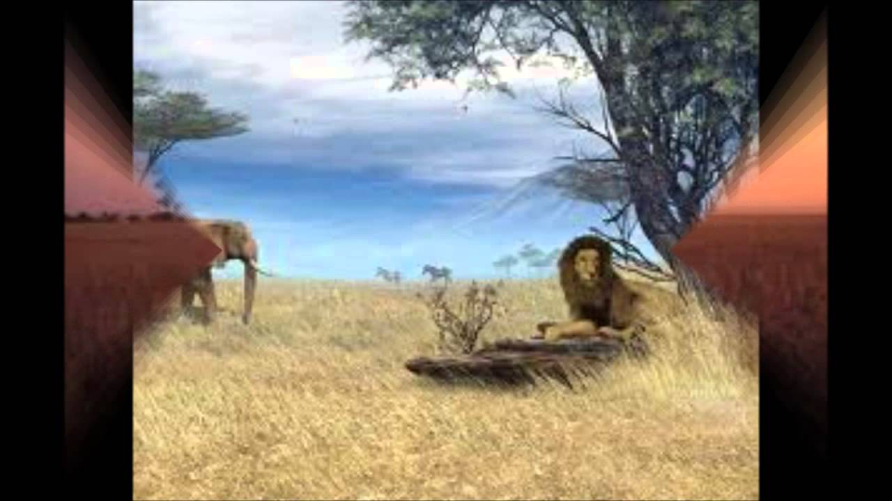 Shaka Zulu We Are Growing  Margaret Singana Radio Mix Looped