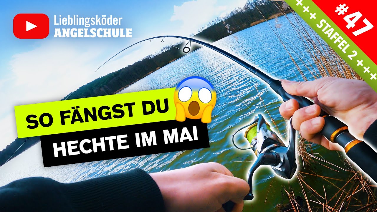 HECHTANGELN im Frühjahr - so fängst du vom UFER 🎣🔥👍🏼