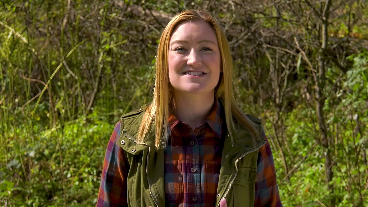 Goods from the Woods -- Your Wisconsin Woods
