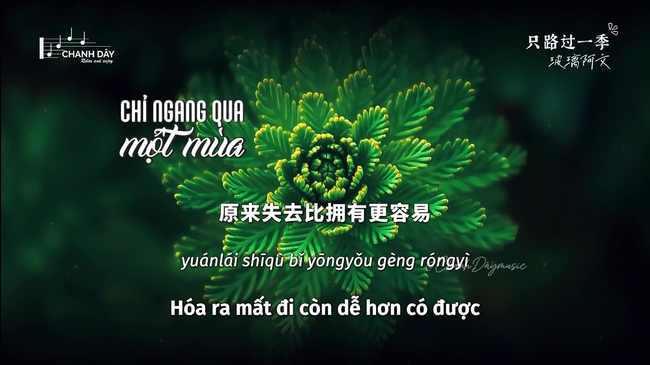 [Vietsub] Chỉ ngang qua một mùa (只路过一季) - Pha Lê A Văn (玻璃阿文)