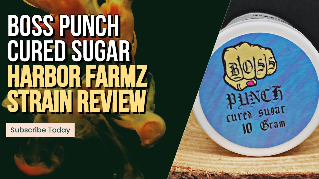 Boss Punch Strain Feature from Harbor Farmz