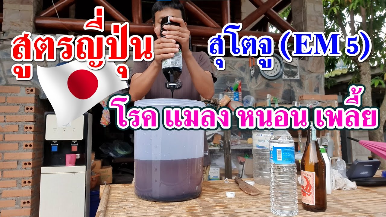 สุโตจู (EM5) สารชีวภาพขับไล่แมลง แบบญี่ปุ่น ได้ผลดีเยี่ยม ไปทำกันเลย