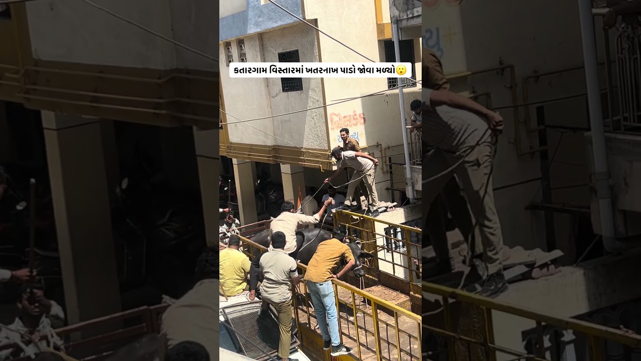 Salute to surat police 🫡 #trending #ytshorts #news #explore