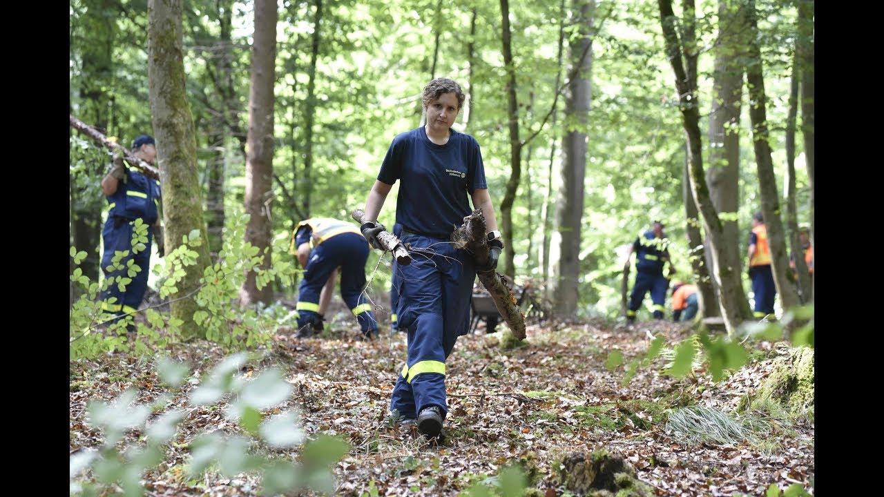 Leichensuche an der Zollbuche