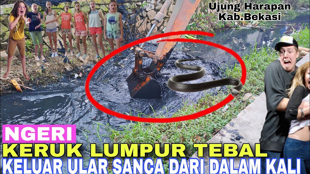 Ngeri!Keruk Lumpur Tebal Tiba Tiba Keluar ular