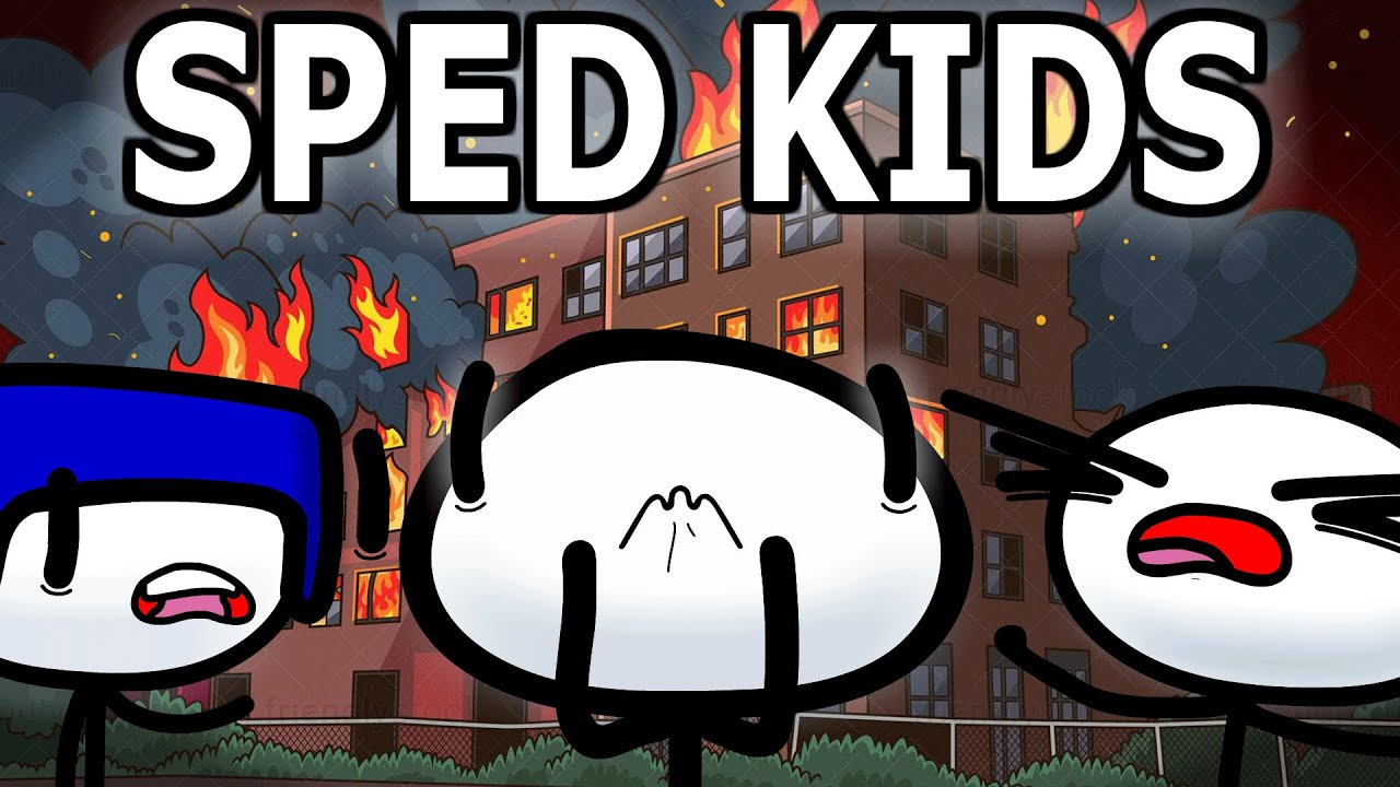 Типы детей, обучающихся по программе SPED в школе