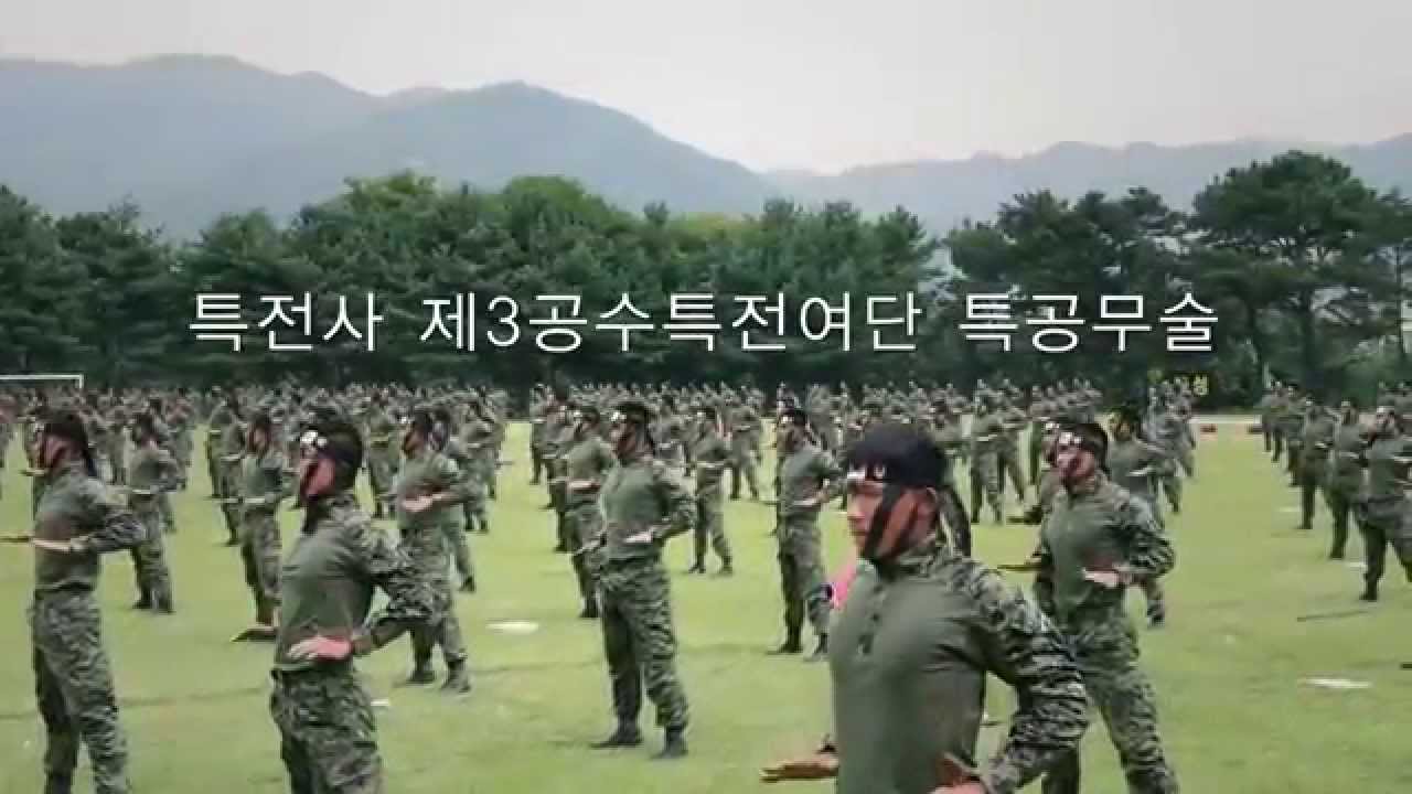 Korean Special Forces Tae Kwon Do Demo