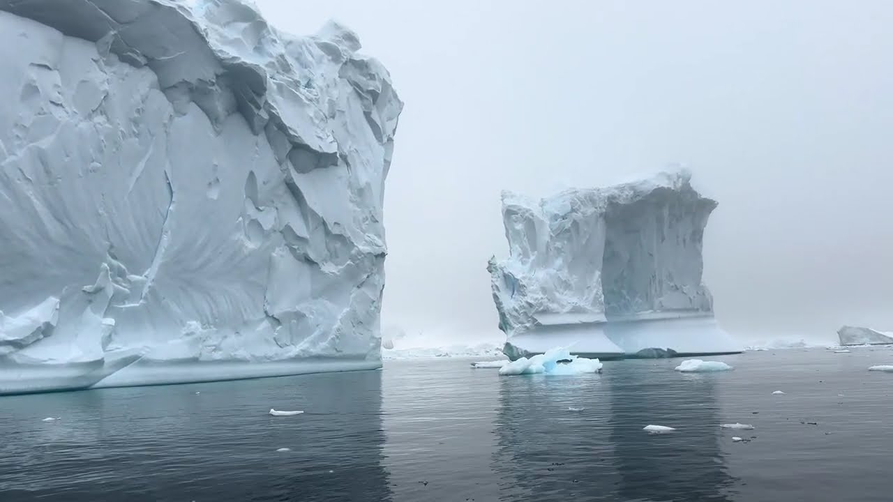 Zodiac Cruising in the Antarctica peninsula