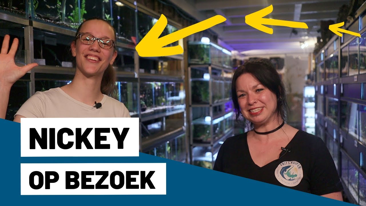 Nickey Aquaria op bezoek bij Frits Kuiper Groningen