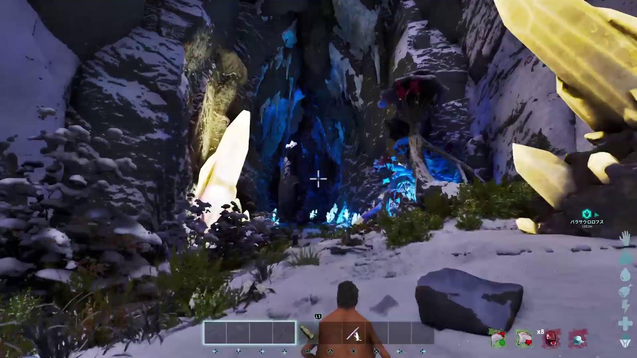 ark 202601250021