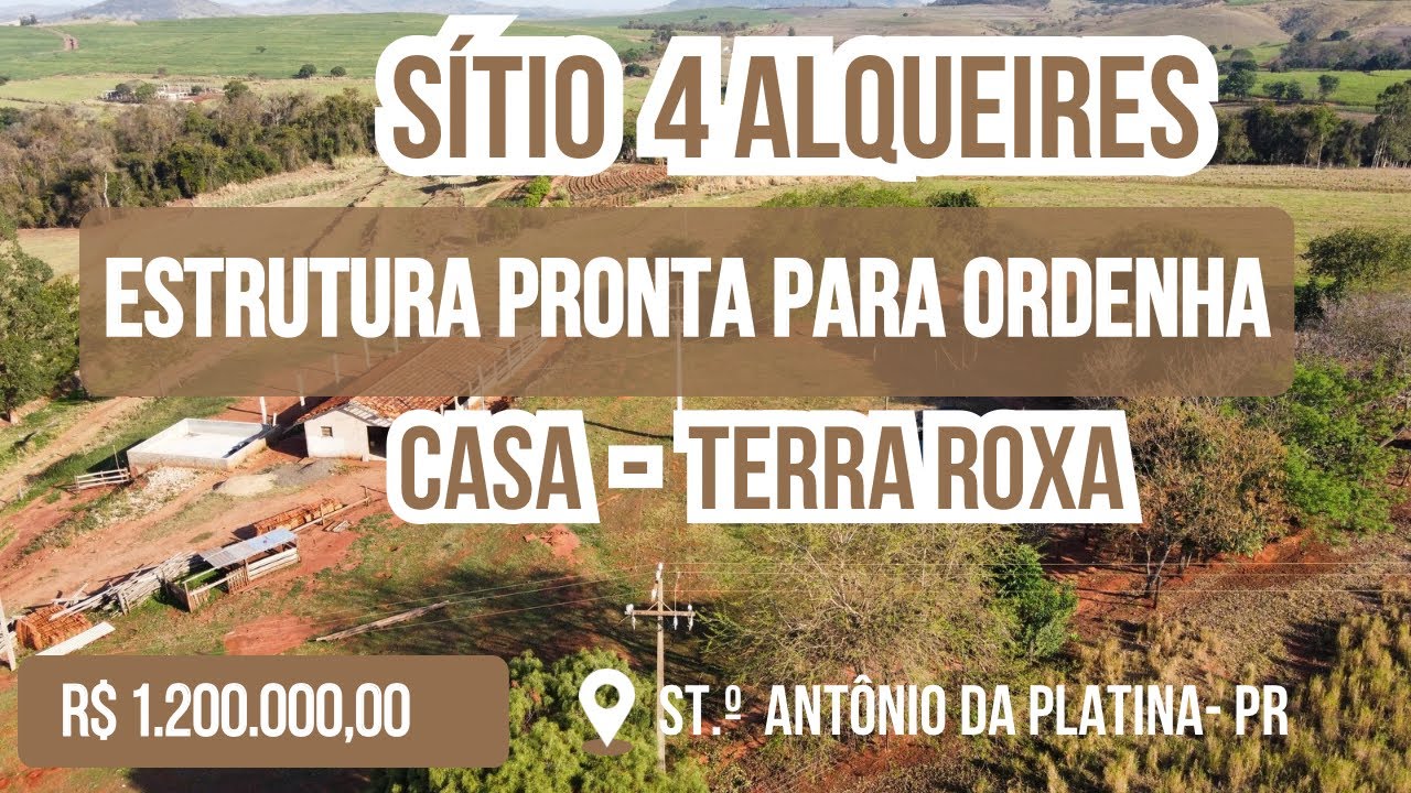 SÍTIO TERRA ROXA- LEITERIA- 4 ALQUEIRES- NORTE DO PARANÁ