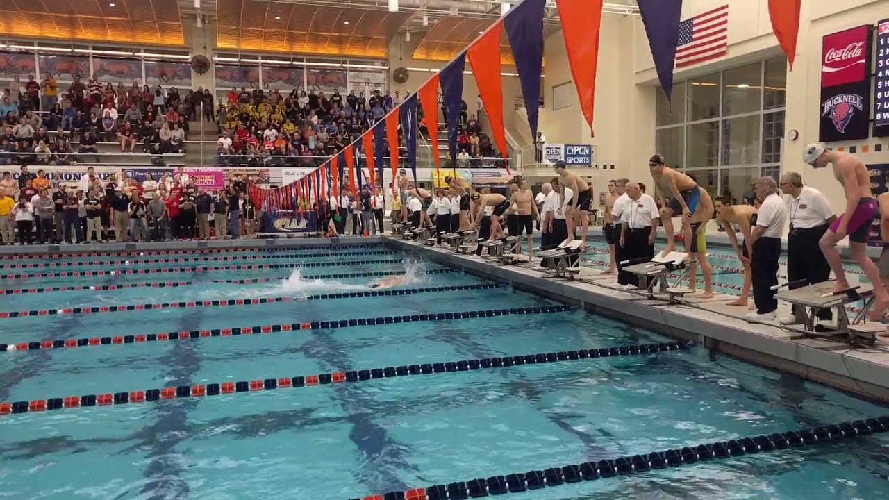North Allegheny Breaks the National High School Record in the 400 free relay