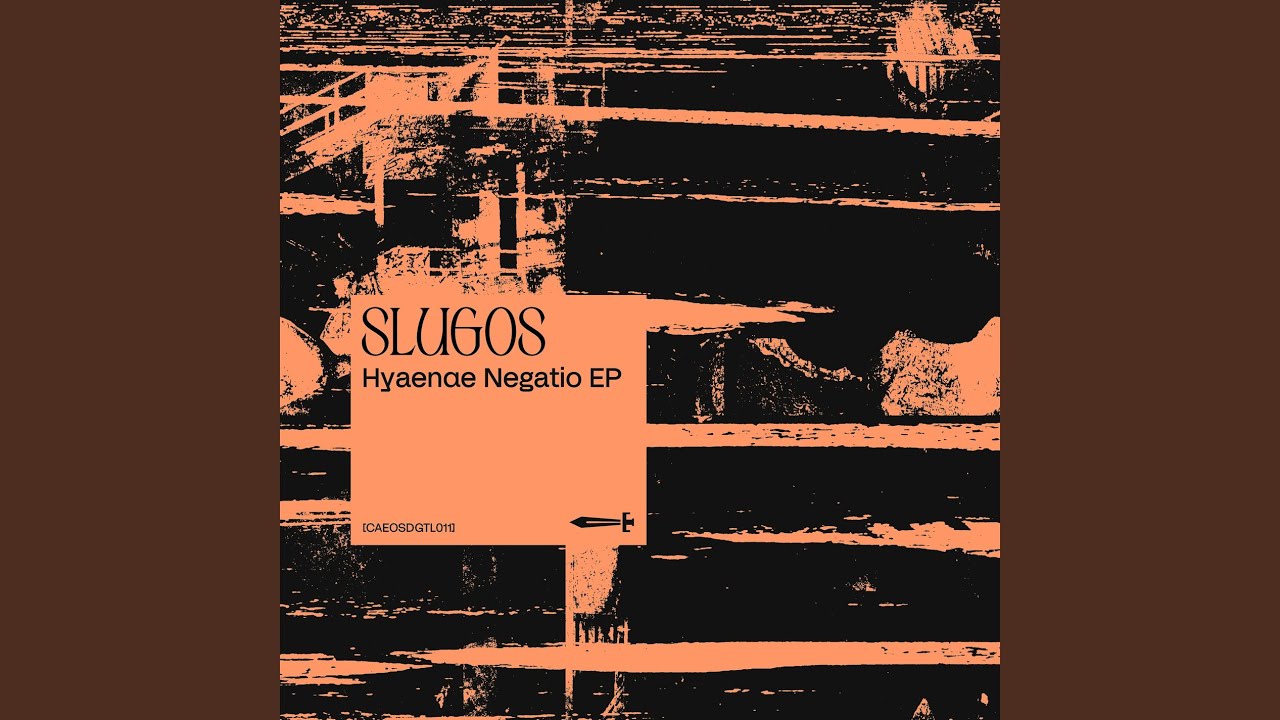 Patrones de Conducta