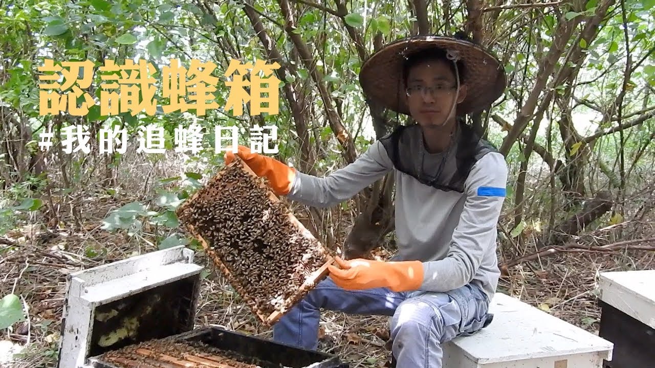 認識蜂箱