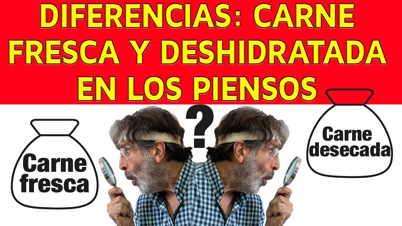 ¿CONOCES LA DIFERENCIA ENTRE CARNE FRESCA Y DESHIDRATADA EN EL PIENSO DE TU PERRO O GATO? 4 EJEMPLOS