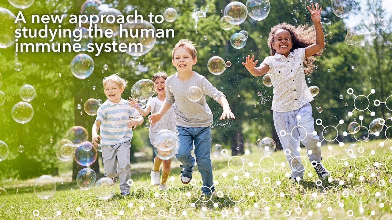 A new approach to studying the human immune system
