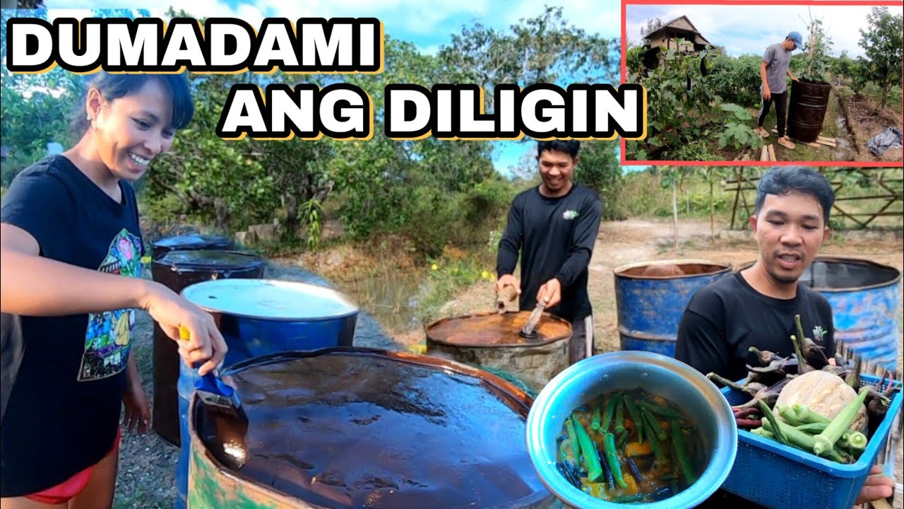 Ep.667- Dumadami na ang diligin | nagpintura kami ng mga drum imbakan ng tubig | buhay probinsya
