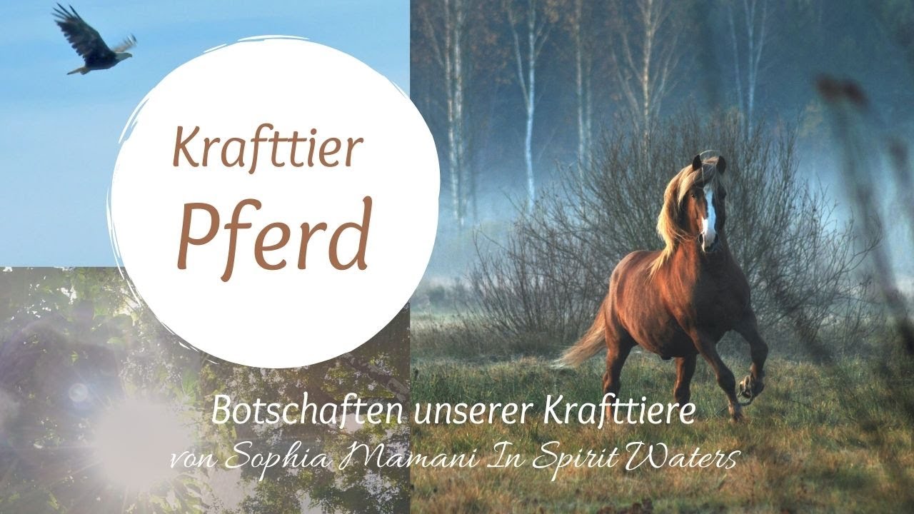 Krafttier Pferd 🌎 Botschaften unserer Krafttiere von Sophia Mamani In Spirit Waters