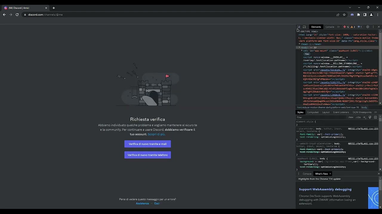 Discord Verification Bypass Glitch *almost