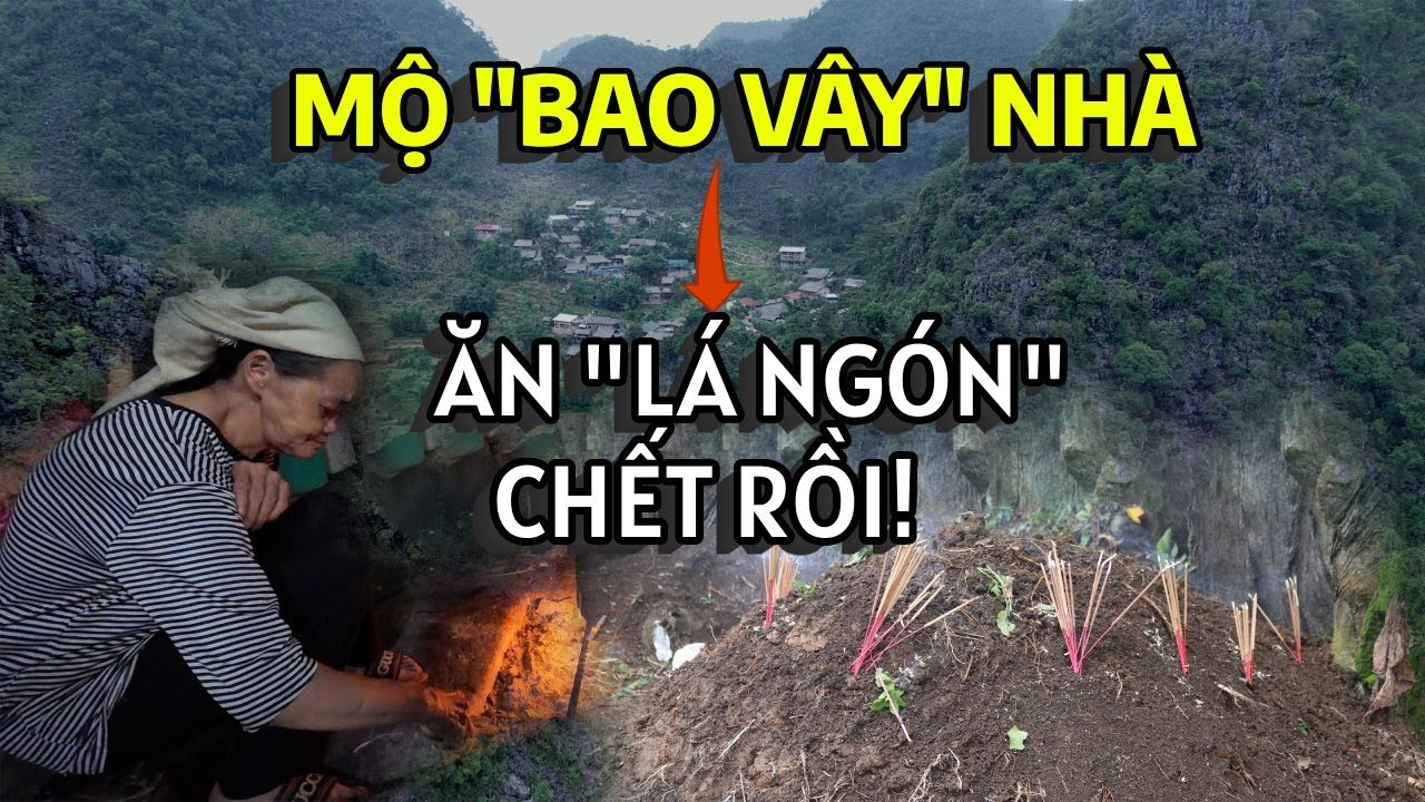 Ngôi làng toàn chuyện kỳ lạ - mộ nằm cạnh nhà. Con bò độc lạ mọc “ngà trắng” rồi!!!