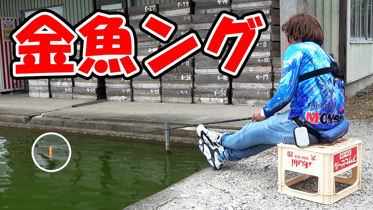 金魚の聖地で釣りしてみた！【郡山金魚卸売センター】